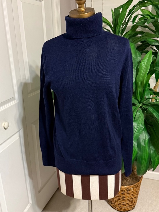 NWT Gap 100% Merino Wool Turtleneck Sweater Navy Blue S Minimalist Classic - Picture 1 of 11